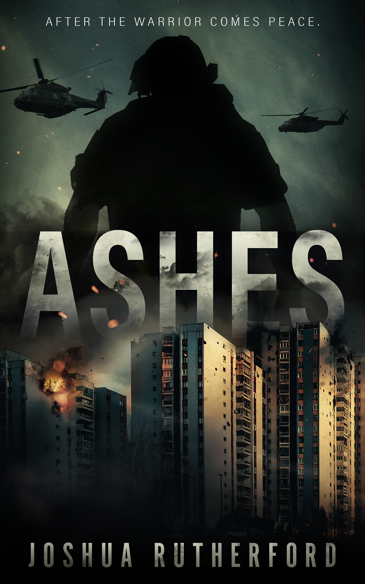 Ashes_Book_Cover